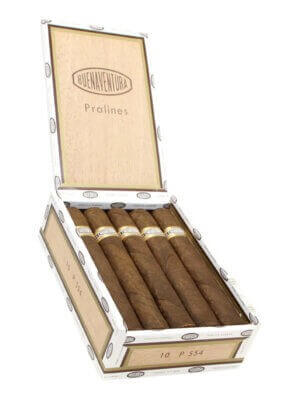 Curivari Buenaventura Pralines P554 Cigars