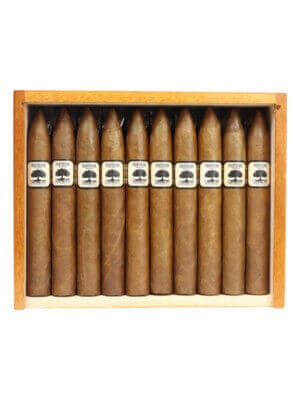 Charter Oak Habano Torpedo