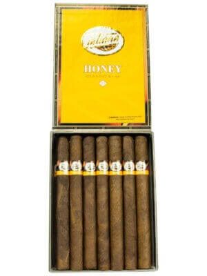 Tatiana Classic Honey Cigar