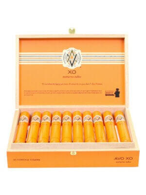 Avo XO Notturno Tubo Cigars