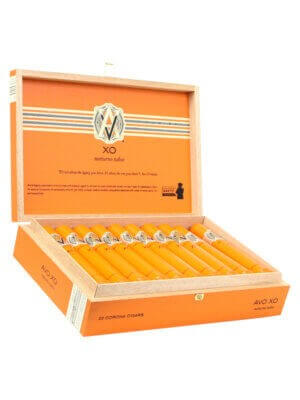 Avo XO Notturno Tubo Cigars