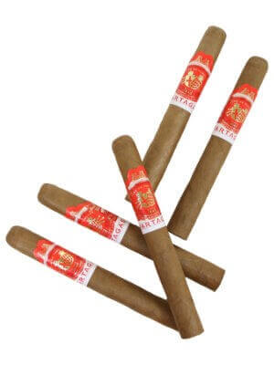 Partagas Cortado Corona Cigars