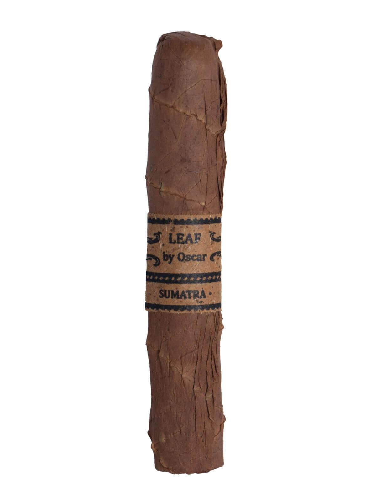 Leaf By Oscar Sumatra Gordo