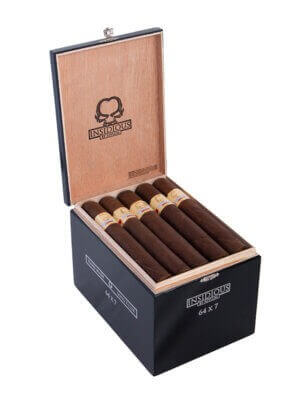 Asylum Insidious Maduro Gordo