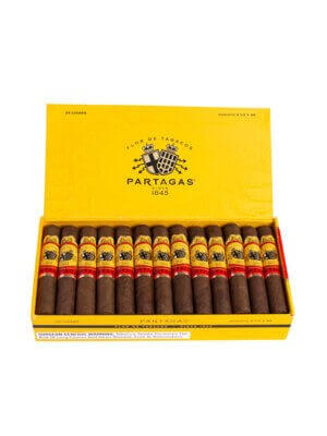 Partagas Robusto