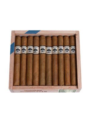 Charter Oak Petite Corona