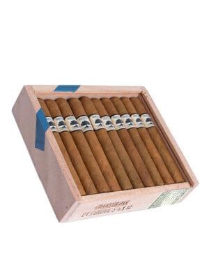 Charter Oak Petite Corona