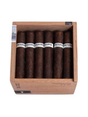 Intemperance BA XXI Intrigue