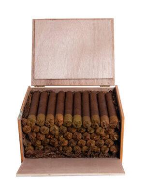 Gran Habano Persian King Rajah